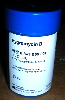 Hygromycin B