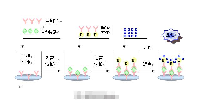 关于ELISA实验二抗标记